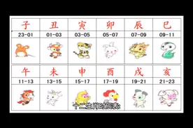 十二生肖时辰表视频封面