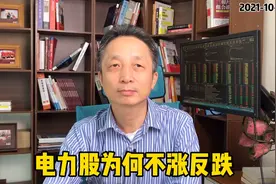 电力股为何不涨反跌？视频封面
