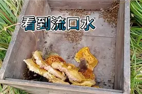 这种蜂蜜千万别吃视频封面