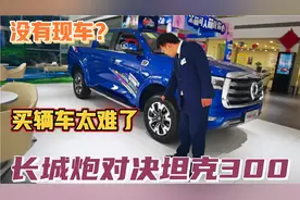 带你们看看我们保定的长城炮，买不到坦克300买长城炮也需要等吗