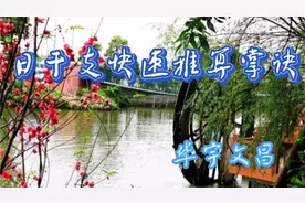 日干支快速推算掌诀视频封面