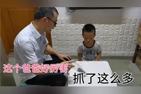 带孩子去公园抓知了，这个方法一抓一个准，这是多少人童年的回忆