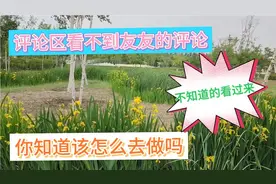 评论区看不到友友的评论，你知道该怎么去做吗，不知道的看过来
