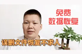 电脑中重要的数据资料不小心删了，用这个数据恢复软件快速找回视频封面