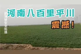 河南到底有多平？开车俩小时看不到一座山，南方人感概:太震撼了