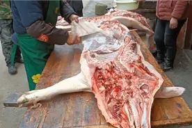 带你了解猪身上各部位名称及吃法，买肉简单多啦