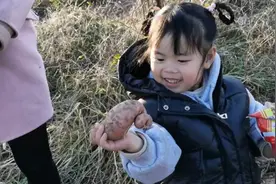 爷爷奶奶带小梓依去地挖红薯，梓依说红薯像什么，奶奶当场笑晕。视频封面