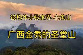 金秀有个圣堂山号称小张家界，五月正值这里的杜鹃节，很美值得来视频封面