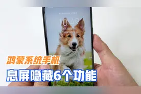 鸿蒙系统手机，息屏还隐藏6个功能，第4个功能最实用，涨知识了！视频封面