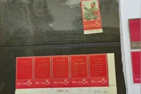 文1邮票一套欣赏交流视频封面