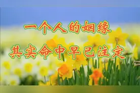 一个人的姻缘，其实命中早已注定视频封面