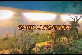 江苏科技馆科普人们保护好环境人与动物和谐相处。@南京影视头条视频封面