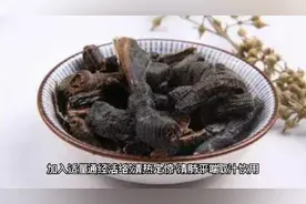 地龙的功效与使用