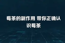 莓茶的副作用带你正确认识莓茶视频封面