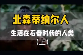 北森蒂纳尔人生活在石器时代的人类（上）视频封面