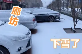 廊坊下雪了，难得一见的雪，整个城市银装素裹视频封面