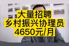 4650一个月，乡村振兴驻村协理员你愿意去吗？视频封面