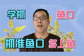 区别不同鱼种、不同钓饵、不同漂相抓鱼口，学会了多上鱼有成就感