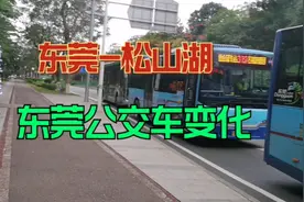 实拍：体验东莞公交车，变化真大！准一线城市的标准视频封面