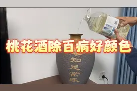 三月三日采桃花，泡酒喝酒除百病好颜色！漂亮的女孩子们多喝点哦