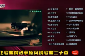云飞歌曲精选/草原风情歌曲二十首/动听优美/@hxd音乐坊