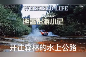 一条从贵州通往重庆的水上公路，刺激、浪漫、清凉，现在去正合适视频封面