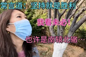 常言道：坚持就是胜利！我看未必！也许是南辕北辙……视频封面