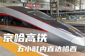 京哈高铁标杆G901次列车，从北京朝阳出发五小时内就能直达哈尔滨视频封面