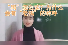 “鸨”这个字怎么读？为什么会有“老鸨”？为什么与青楼联系起来