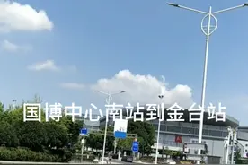 乘坐武汉地铁从武汉汉阳鹦鹉街国博中心南站到武汉新洲阳逻金台站视频封面