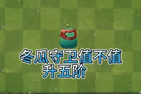 植物大战僵尸2：冬瓜守卫值不值升五阶？