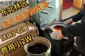 黑龙江省呼中区碧水镇，取暖新方法，松子皮柈煤，取暖费小2万视频封面