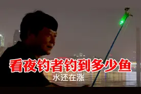 重庆南滨路江边夜钓人真多，看他们钓到多少鱼，讲了些什么话视频封面