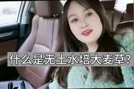 什么是无土大麦水培草？视频封面