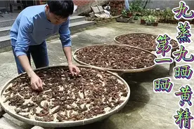 返乡创业，农村小伙采用中药炮制古法做九蒸九晒黄精，供不应求！视频封面