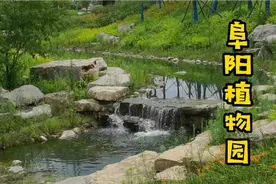 实拍阜阳植物园，票价10元。你会来参观吗？视频封面
