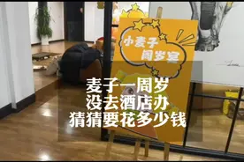 麦子的周岁没去酒店，自己做菜，24个人，猜猜花了多少钱视频封面