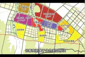 长春高新历史表现如何？是否值得长期持有？视频封面