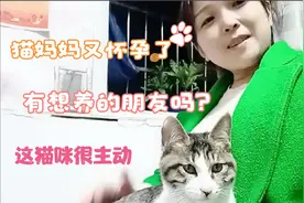 猫猫喝完洗脚水就要亲亲，铲屎官无法抵挡，从未见过这么主动的猫