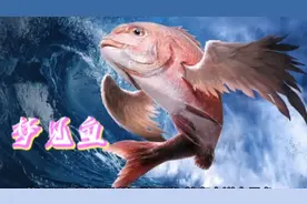 梦见鱼，寓意吉祥如意。好运连连视频封面