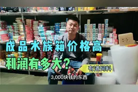 成品水族箱究竟利润有多大？