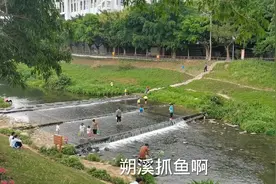 终于在深圳找到一个可以免费钓鱼的地方，适合全家出行，赶快来视频封面