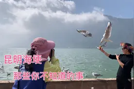 昆明海埂公园，来云南旅游不得不来的旅游宝地，免费的哦！视频封面