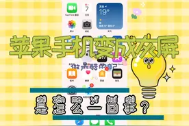 苹果手机变成灰屏，该怎么办？视频封面