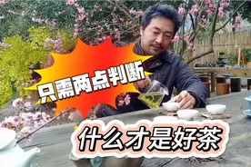 什么才是好茶，只需两点判断，茶农说出内情，普通人一学就会视频封面