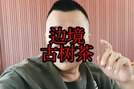 缅北事件后加上疫情再次爆发，很多人关心西双版纳边境是否安全视频封面