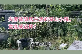 夫妻隐居生活的深山小院，最终败给了现实，如今竟变成了这样……视频封面