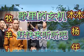 《可可托海的牧羊人》歌里的玄机，赶快来听听吧