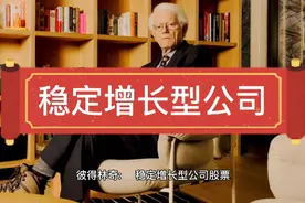 彼得林奇:二 稳定增长型公司股票视频封面