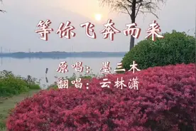 《等你飞奔而来》，个人翻唱，原唱：墨三木视频封面
